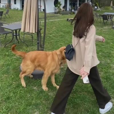 伞学院第一季